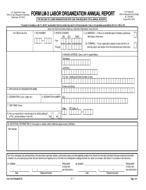 Labor Organization Annual Report Form LM-3