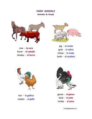 Spanish Animal and Pet Vocabulary Worksheet