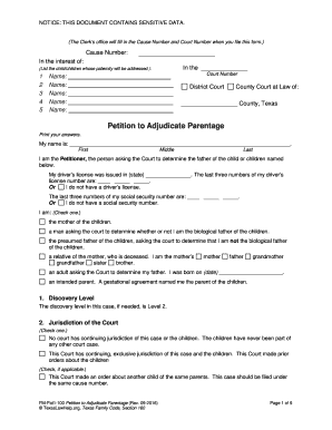 Petition to Adjudicate Parentage