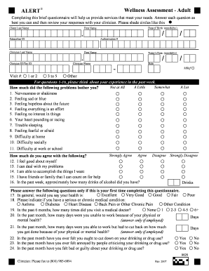 Wellness Assessment Form