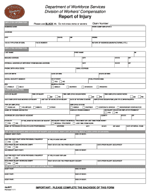 Workers' Compensation Injury Report