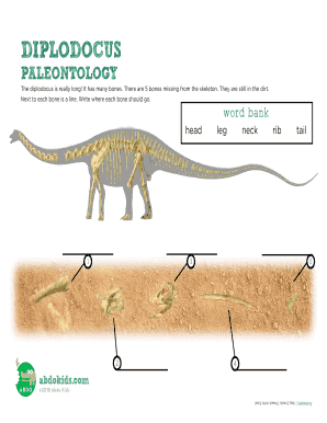 Diplodocus Skeleton Assembly Worksheet