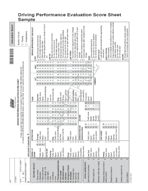 California Driving Performance Evaluation Score Sheet