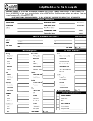 Consumer Credit and Budget Counseling Worksheet