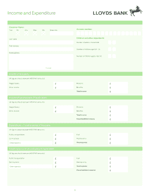 Income and Expenditure Form