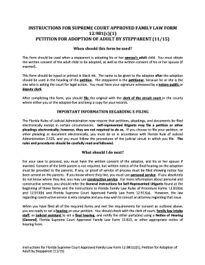 Florida Stepparent Adoption Petition