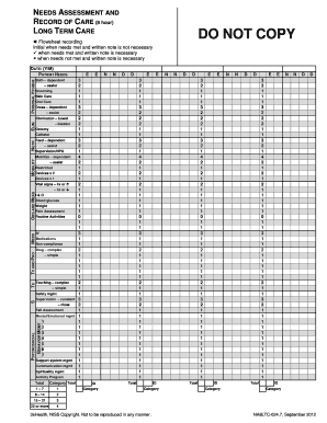 Needs Assessment and Record of Care Form
