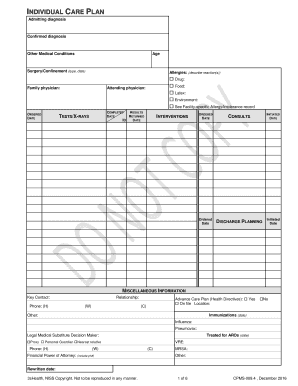 Individual Care Plan Form