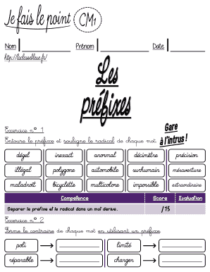 Feuille de travail sur les préfixes et les radicaux