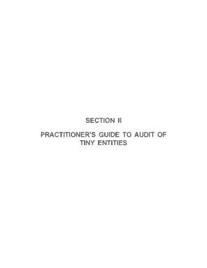 Practitioner's Guide to Audit of Tiny Entities