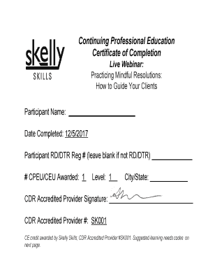Continuing Professional Education Certificate