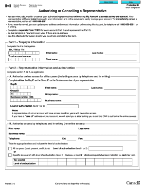Canada Revenue Agency Representative Authorization Form
