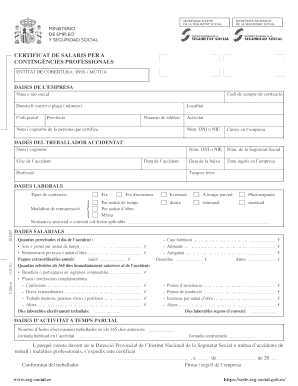 Spanish Professional Accident Salary Certificate