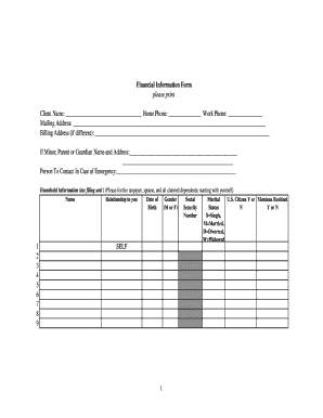 Montana Financial Information Form