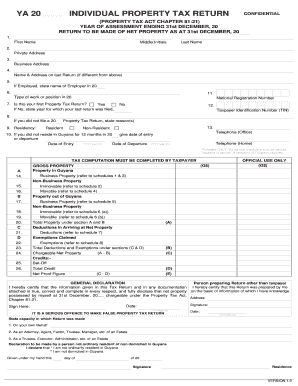 Guyana Individual Property Tax Return