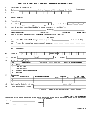 Application Form for Employment MES NG Staff