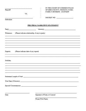 Court of Common Pleas Custody Pre-Trial Narrative Statement
