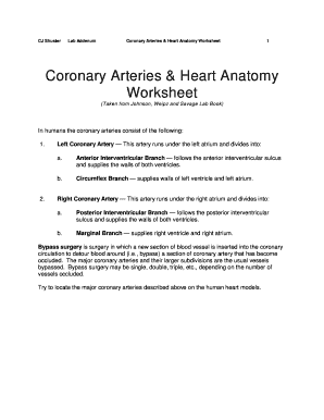 Coronary Arteries & Heart Anatomy Worksheet