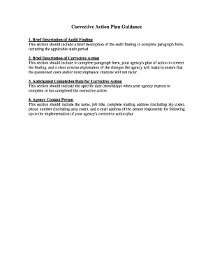 Corrective Action Plan Guidance
