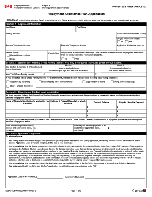 Repayment Assistance Plan Application