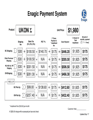 enagic payment system
