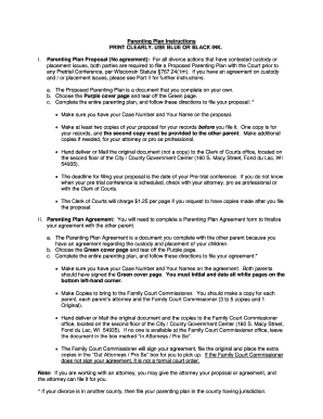 Wisconsin Parenting Plan Proposal
