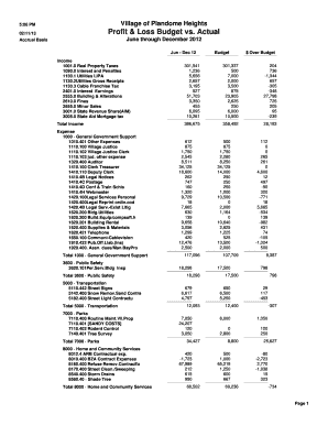 Profit &amp;amp; Loss Budget vs. Actual