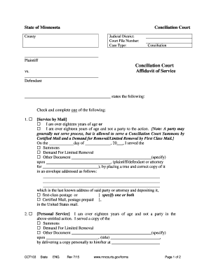 Affidavit of Service for Minnesota Conciliation Court