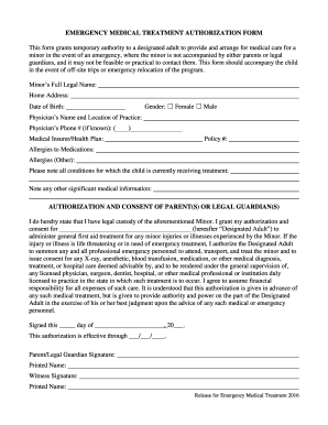 Emergency Medical Treatment Authorization Form