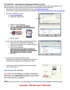Fillable Online SET YOUR PIN Instructions for setting your PIN the 1st ...