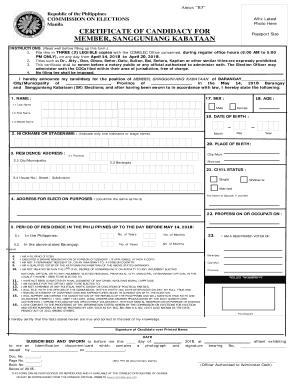 Form preview picture