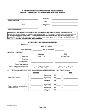 Affidavit of Income and Expenses
