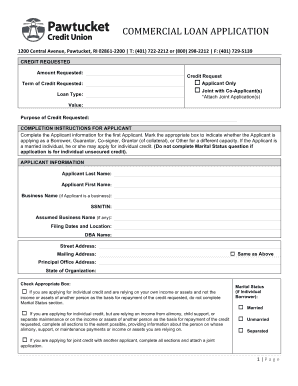 Commercial Loan Application