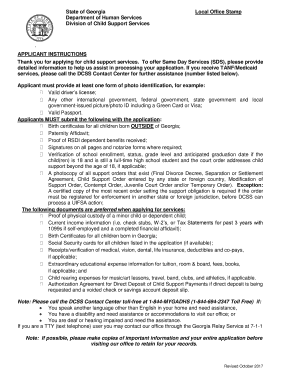 Georgia Child Support Application Form