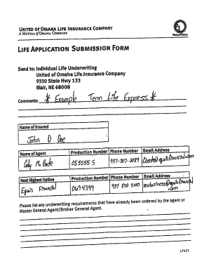 Ohio Life Insurance Application Form
