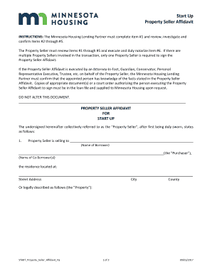 Property Seller Affidavit