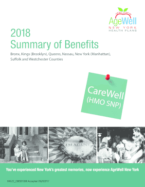 AgeWell New York CareWell HMO SNP 2018 Summary of Benefits