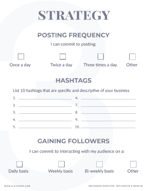 Social Media Posting Strategy Form