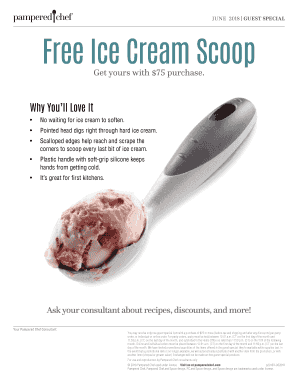 Pampered Chef Ice Cream Scoop