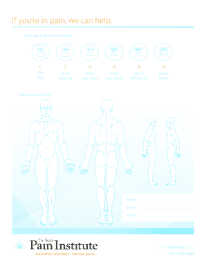 Pain Assessment Form