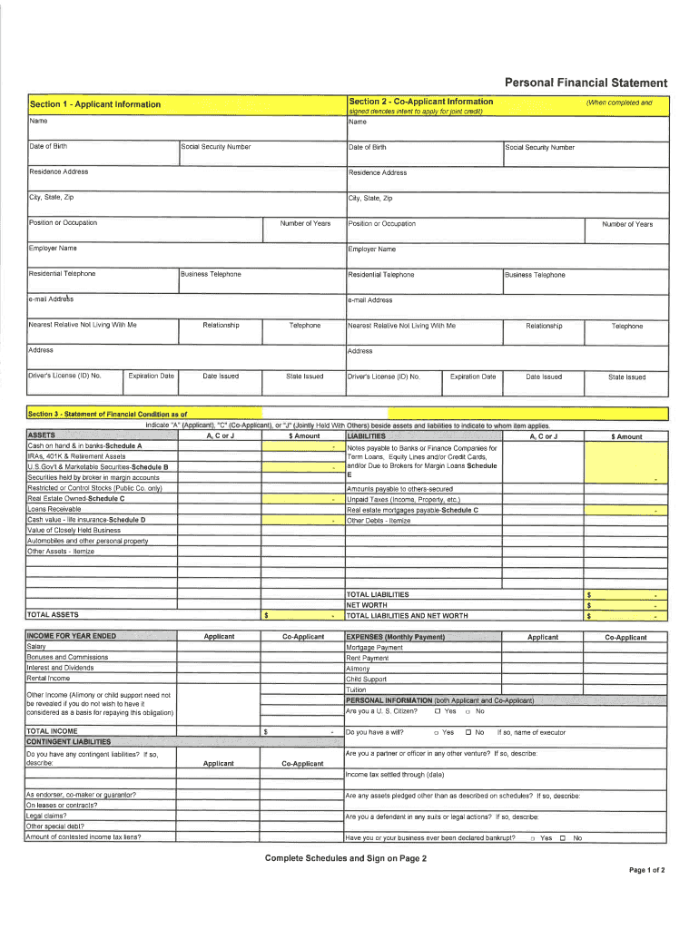 Personal Financial Statement I Preview on Page 1