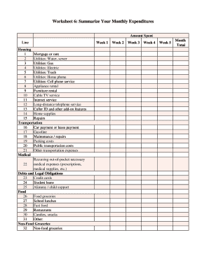 Monthly Expenditure Summary Form