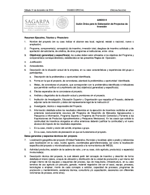 Guión Único para la Elaboración de Proyectos de Inversión