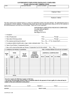 Wage and Salary Verification Form