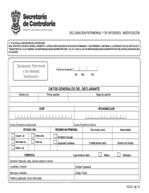 Declaración Patrimonial y de Intereses - Modificación