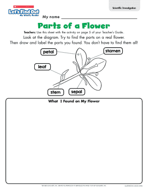 Scientific Investigation Flower Worksheet