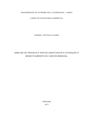 TCC - Gabriel Zappelini Nunes.pdf
