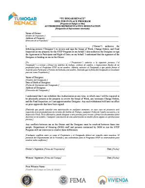 Designación de Representante Autorizado
