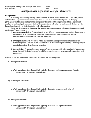 Homologous Analogous Vestigial Structures Worksheet