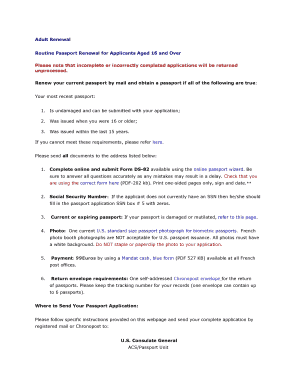 US Passport Renewal Form DS-82